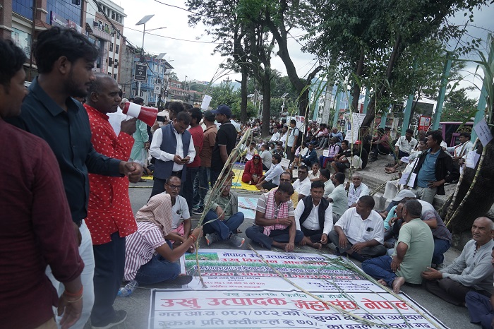 अनुदान भुक्तानीको माग गर्दै उखु किसान फेरि सडकमा, काठमाडौंमा प्रदर्शन 